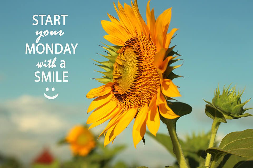 monday affirmation